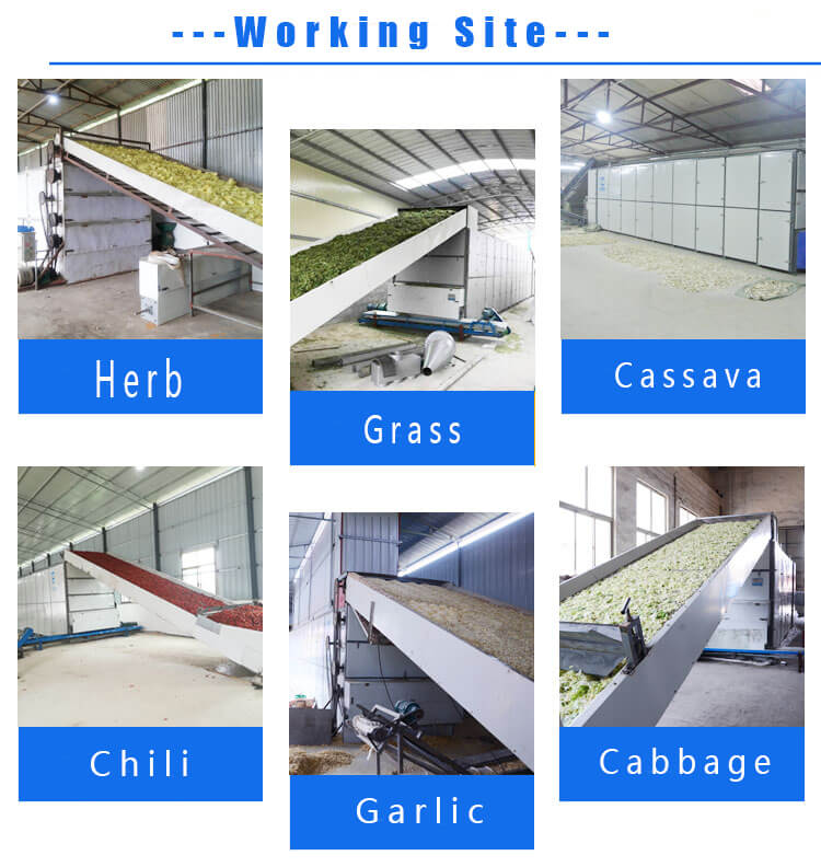 dw siereis multilayer belt dryer live cases